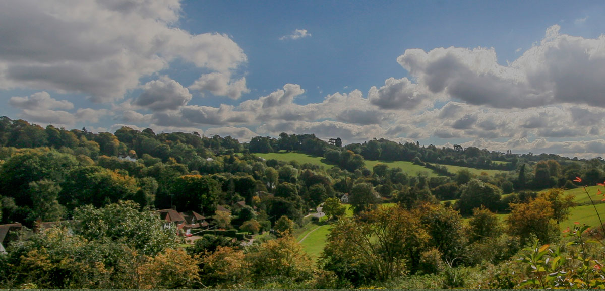 Banstead wood