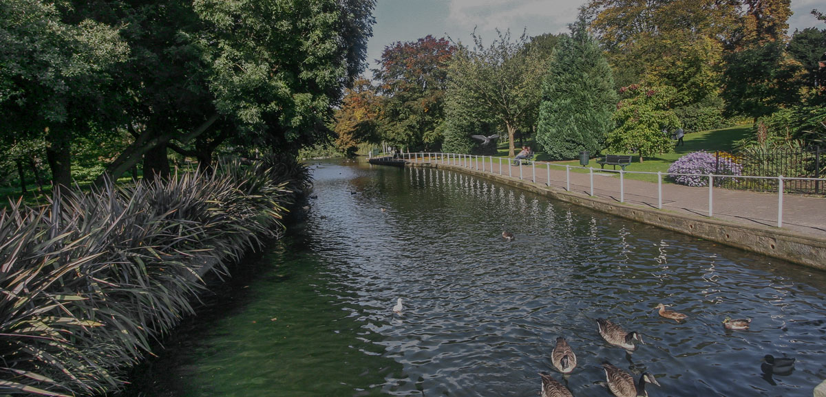 Carshalton River Wandle