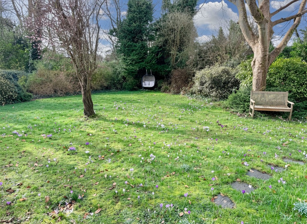 Images for Foxley Lane, Purley, CR8 EAID:4238971326 BID:111a20da-ac98-4726-afab-e685f1b287bd