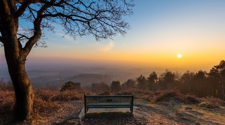 Top ten places you must see in Surrey