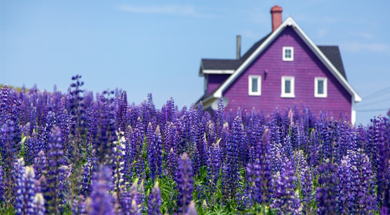 Why is spring a good time to sell your home?