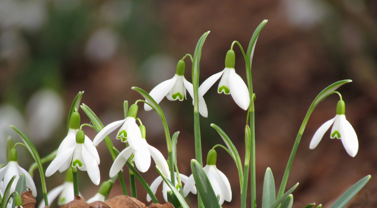 February 2026 Property Market Update