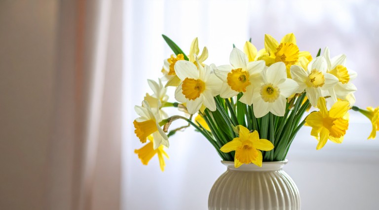 March 2026 Property Market Update