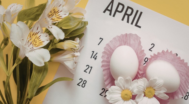 April 2026 Property Market Update