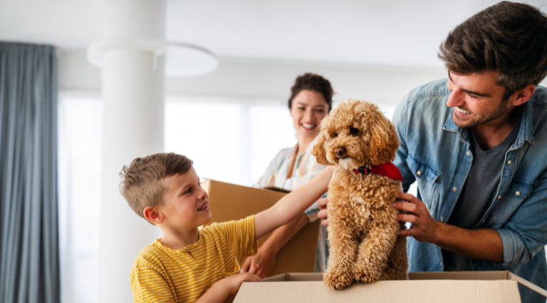 Moving Home: What Happens on Completion Day?