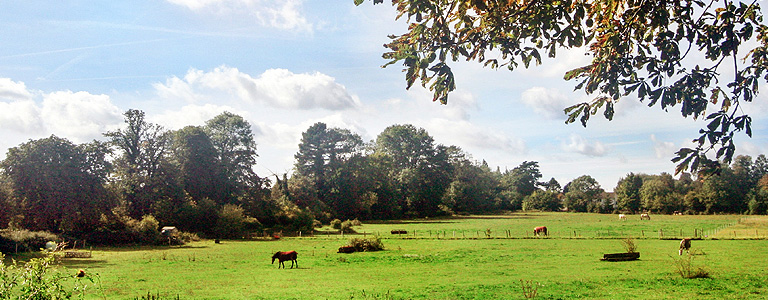 Living in The Woodcote Estate